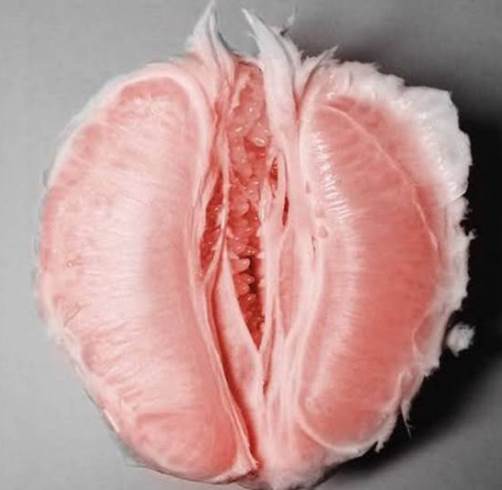 pompelmo-vagina
