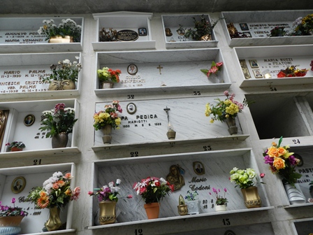 cimiter8